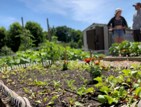 community garden lined with spoons