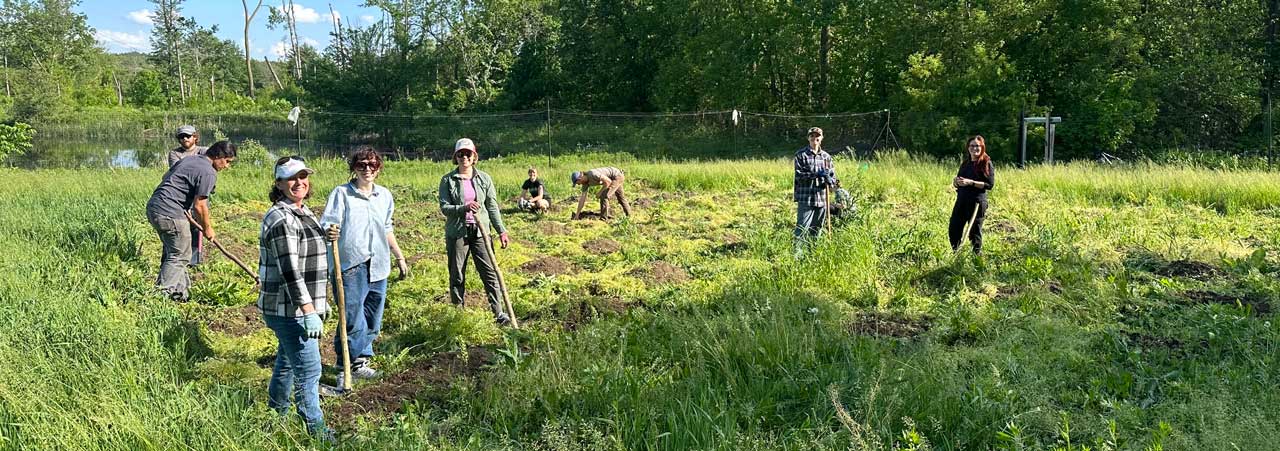 A group of nine people working in a small garden in a marshy wooded area