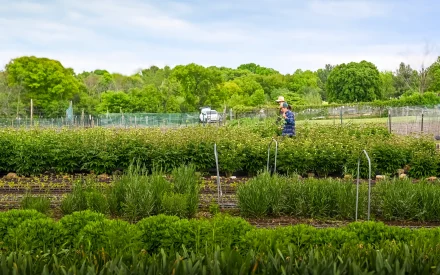 Showcasing Conservation on Milwaukee’s Urban Farms