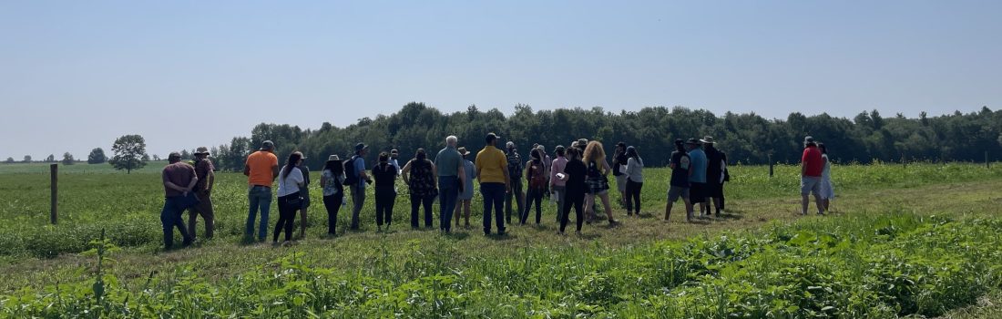 A group of people standing in a field of cover crops at Menominee's Floring Farm