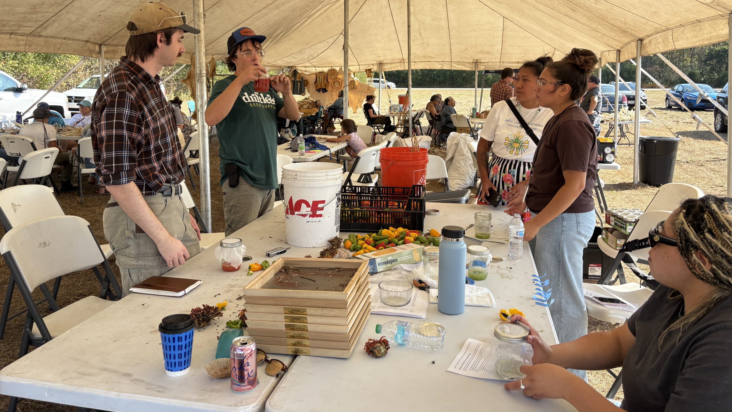 A person in a green shirt that says Driftless Seed Supply teaches four other people about vegetable seed saving under a large white tent outside