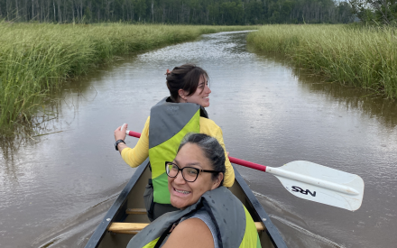 Indigenous-led research examines the health of restored manoomin in the St. Louis River Estuary