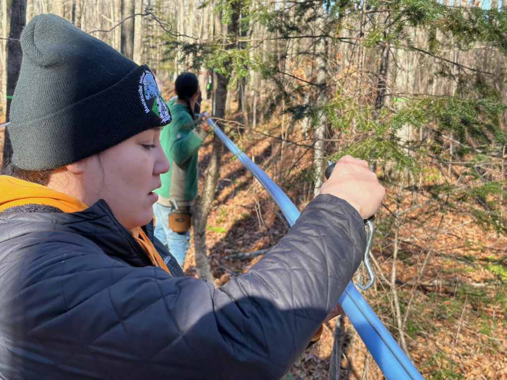 Closeup of a person in a jacket and a hat puncturing a blue plastic tubing line running through a forest