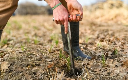 Soil Testing for Milwaukee Urban Farms and Gardens